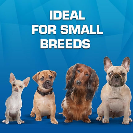 Nerf Dog 3-Ring Tug Outdoor Dog Toy, 7.5 Inch Ring Dog Tug Toy for Puppies and Small Breeds, Blue/Green/Orange