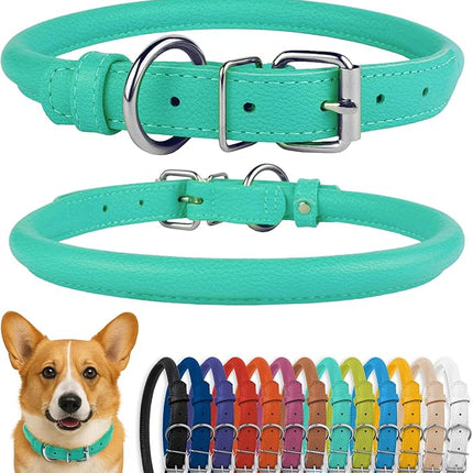 CollarDirect Rolled Leather Dog Collar, Soft Padded Round Puppy Collar, Handmade Genuine Leather Collar Dog Small Large Cat Collars 13 Colors (11-14 Inch, Mint Green Textured)
