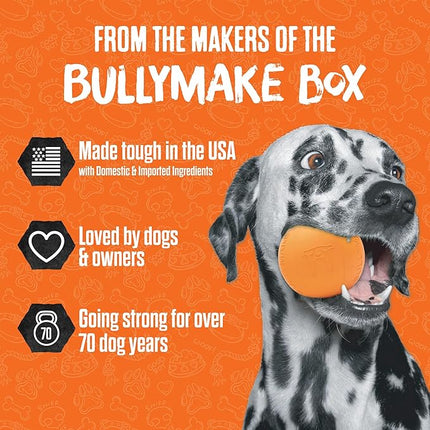 BULLYMAKE Red Tough Chew Steak Toy for Dogs, Durable Nylon Dog Toys for Aggressive Chewers, Dental Stimulating, Tough Chewers, Boredom Busting, Made in USA