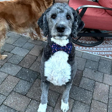 Lionheart glory American Flag Dog Collar 4 of July Independence Patriotic Dog Bow Collars Heavy Duty Adjustable Soft Collar with Bowtie for Medium Dogs Pet Gift