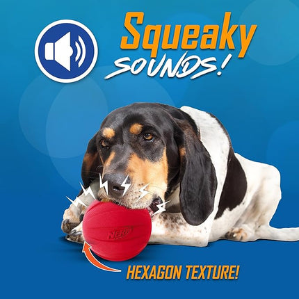 Nerf Dog Classic Squeak Ball Outdoor Dog Toy, 3.8 Inch Dog Ball Fetch Toy, Squeaking Toy for Medium and Large Breeds, Green/Red, 2 Count