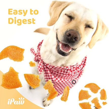 iPaw Chicken Chips Dog Treats for Puppy Training, All Natural Human Grade Dog Treat, Hypoallergenic, Easy to Digest (Chicken Chips), 5 Packs