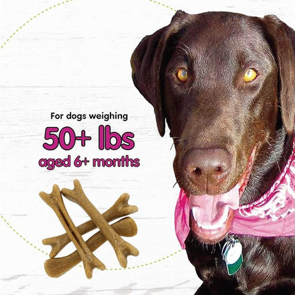 Fido - Belly Bones for Dogs, 4 Yogurt Flavor Large Dog Dental Treats (Made in USA) - 4 Count Dog Treats for Large Dogs - Plaque and Tartar Control for Fresh Breath, Digestive Health Support