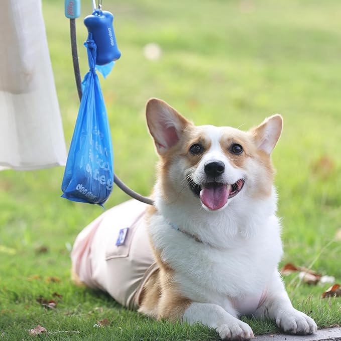 Dog Poop Bags with Handles 60 Rolls 720 Counts Big Sizes Leak Proof and Extra Thick Waste Bags Refill Rolls for Walking Small Medium Large Dogs Cats Litter With 2 Dispensers Iris Scented