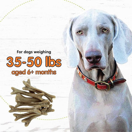 FIDO - Super Breath Dental Care Bones for Dogs - 8 Treats Per Pack (3 Pack) - Dog Dental Treats for Medium Dogs (Made in USA) - Dog Dental Chews Help Reduce Plaque, Tartar Buildup, and Freshens Breath