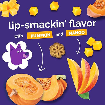 Fruitables Skinny Minis Dog Treats, Healthy Pumpkin Treat for Dogs, Low Calorie & Delicious, Puppy Training, No Wheat, Corn or Soy, Made in the USA, Pumpkin and Mango Flavor, 5oz