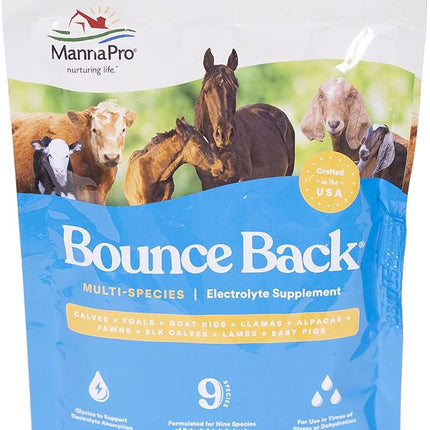 Manna Pro Bounce Back Supplement | Multi-Species Electrolyte | 4 oz