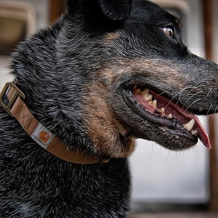 Carhartt Nylon Duck Dog Collar, Fully Adjustable Durable 2-Ply Cordura Nylon Canvas Collars for Dogs, Carhartt Brown, Large