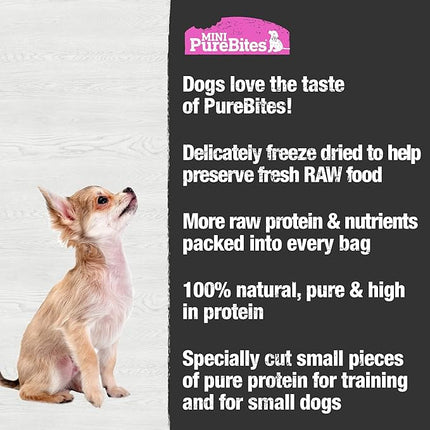 PureBites Mini Salmon Freeze Dried Dog Treats, 1 Ingredient, Made in USA, 1.7oz