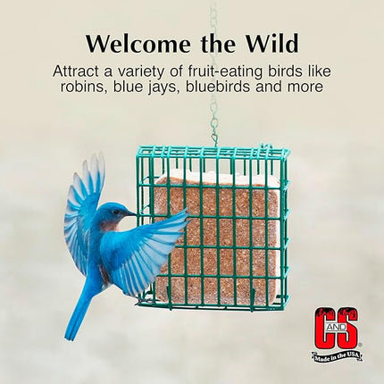 C&S Berry Suet Treat, Wild Bird Food for Robins, Blue Jays, Bluebirds, Tanagers, Thrushes and More, 8 Pack