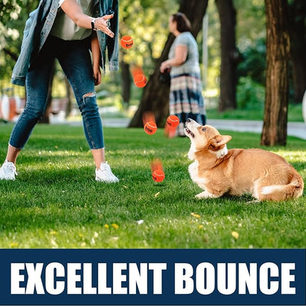 AMA SPORT Tennis Balls for Dogs 12 Pack 2.5" Red Dog Tennis Balls for Puppy Small Medium Dog Toys, Designed for Dogs Floating, Water-Hunting, Fetch, Fun Playing, Daily Exercise, Mid-air Catching