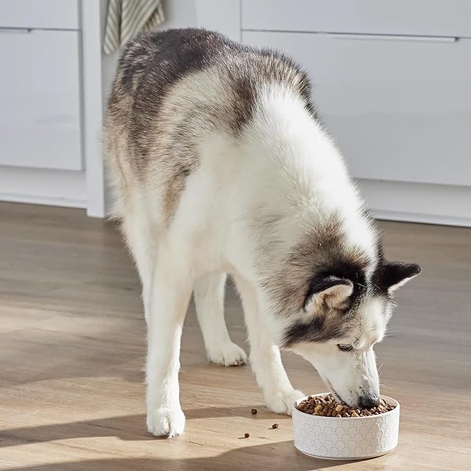 Open Farm, RawMix Dry Dog Food with Ancient Grains, Protein-Packed Kibble Coated in Bone Broth with Freeze Dried Raw Chunks, Pollock Beef & Salmon, Tide & Terrain Recipe, 3.5lb Bag