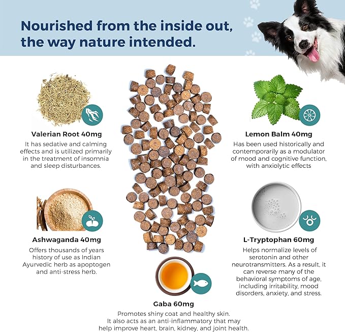 Petscy - Calming Chews for Dogs, Natural Dog Calming Chews with GABA and Lemon Balm for Stress & Anxiety Relief, Bite Sized Dog Anxiety Chews, Calming Dog Treats, 120g