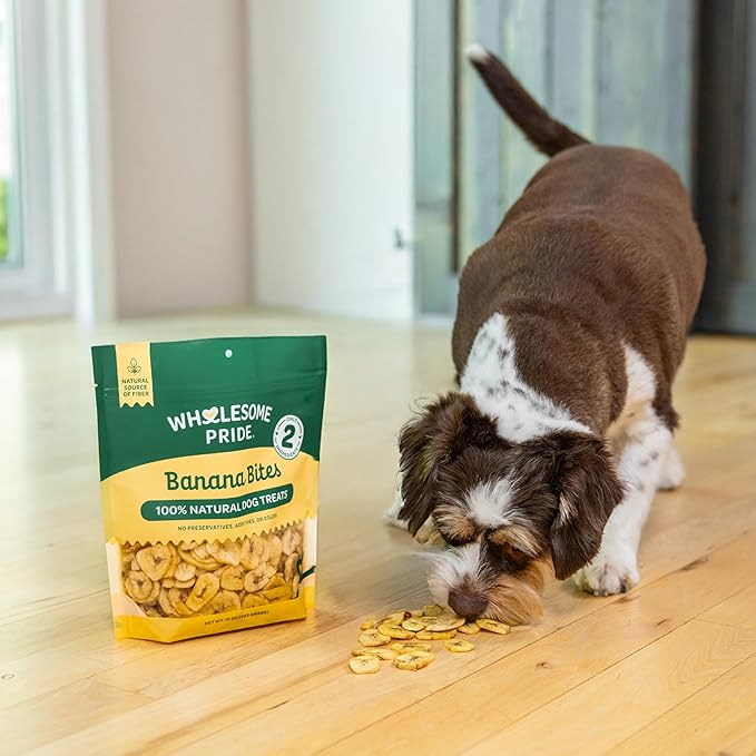 Wholesome Pride Banana Bites Dog Treats, 2 Ingredients – Bananas & Coconut Oil, Grain-Free, 16oz