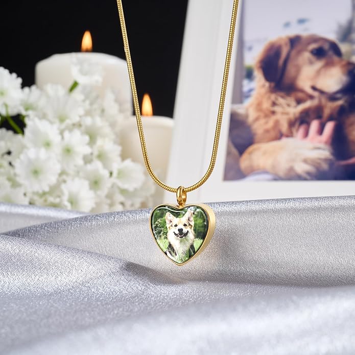 Fanery Sue Pet Ashes Necklace Cremation Jewelry Personalized Picture&Quote Memorial Gifts for Loss of Dog/Cat Urn Necklaces Pets Loss Sympathy Gift Keepsake for Women