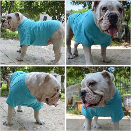 Lovelonglong 2019 Pet Clothing Dog Costumes Basic Blank T-Shirt Tee Shirts for Small Dogs Turquoise L