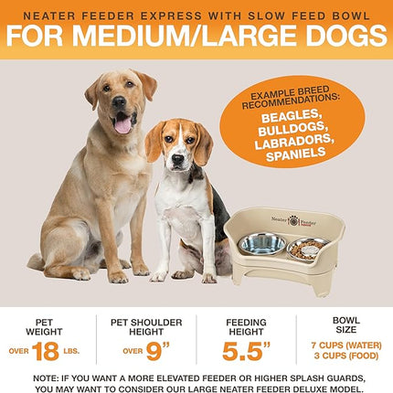 Neater Feeder - Express Model w/ Slow Feed Bowl - Mess-Proof Dog Bowls (M/L, Almond) Made in USA – Elevated, No Spill, Non-Tip, Non-Slip, Raised Stainless Steel Food/Water Pet Bowls Aid Digestion