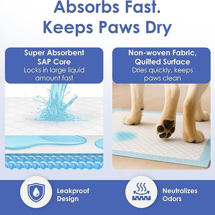American Kennel Club Scented Puppy Training Pads with Ultra Absorbent Quick Dry Gel – 22 x 22 Pee Pads for Dogs - Fresh Scented - Pack of 100