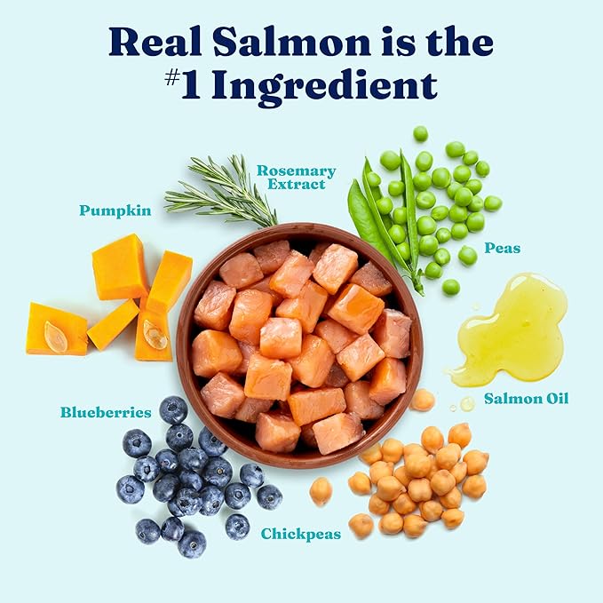 Solid Gold Salmon Dog Food for Sensitive Stomachs – Grain Free & Gluten Free Kibble w/Probiotics to Support Gut Health & Digestion - Sensitive Stomach Dog Food for All Ages – Nutrientboost™ – 3.75 LB