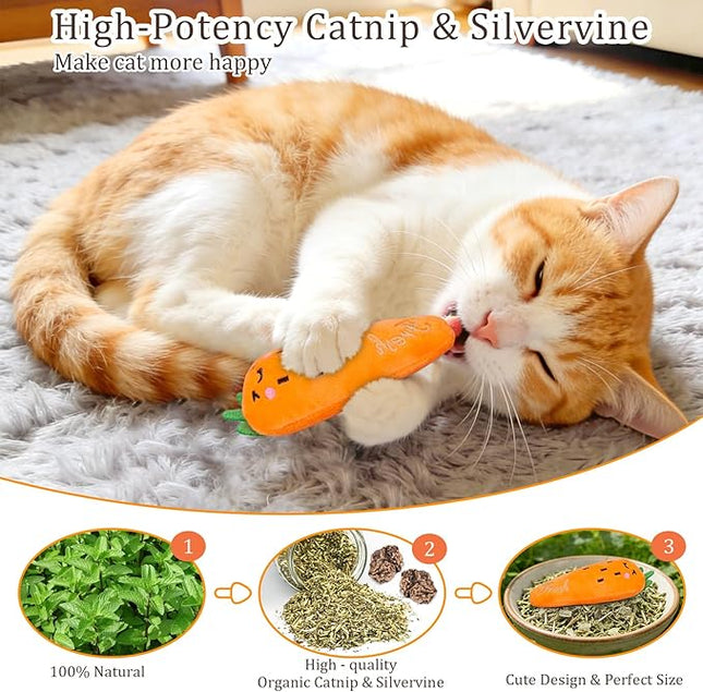 Catnip Cat Toys, 5 Pack, Plush Cat Nip Toys for Indoor Kitten Kitty, Interactive Cat Kicker Chew Safe Teeth Cleaning Toys, Fun Vegetable Shape