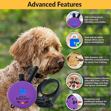 Educator E-Collar Humane Dog Training Collar with Remote, 100 Safe Tapping Stimulation Levels, Night Light, Waterproof, Rechargeable, 1/3 Mile 1 Small Dog, Purple