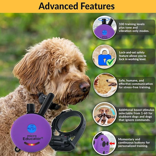 Educator E-Collar Humane Dog Training Collar with Remote, 100 Safe Tapping Stimulation Levels, Night Light, Waterproof, Rechargeable, 1/3 Mile 1 Small Dog, Purple