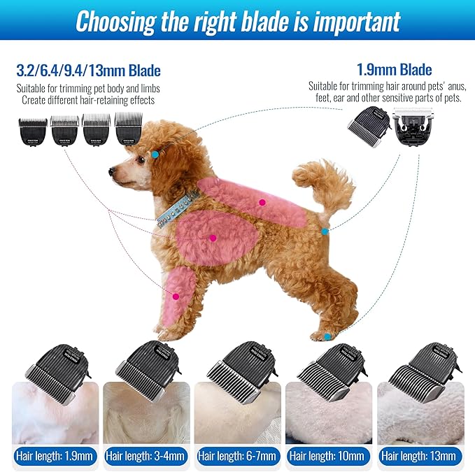 FENICE PEAK 10FC Low Noise Pet Dog Grooming Clippers Replacement Blade Ceramic Edge Detachable Steel Pet Clipper Blade with Cutting Length of 1.9mm 1/13'' (1 Count)