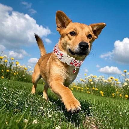 ARING PET Strawberry Dog Collar, Cute Summer Pink Pet Collars with Quick Release Buckle for Puppy Small Medium Large Boy Girl Dogs-L