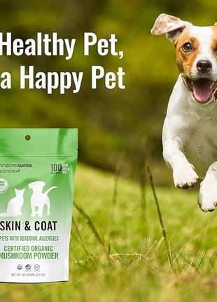 Om Mushroom Matrix Pet - Canine | Skin & Coat | USA Grown Human-Grade Organic Mushroom Powder Pet Supplement | Seasonal Allergy Skin & Coat Support for Dogs & Cats | 100 Grams, 3.5 oz