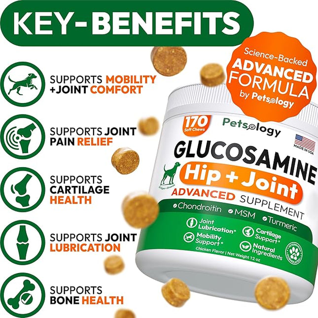 Glucosamine for Dogs - Hip and Joint Supplement for Dogs - 170 Mobility Chews - Glucosamine Chondroitin - MSM - Turmeric - Joint Pain Relief - Advanced Support for Dog Health - Made in USA