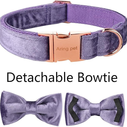 ARING PET Bowtie Dog Collar-Velvet Dog Collars with Removable Bowtie, Cute &Comfortable Purple Dog Collar,Medium.