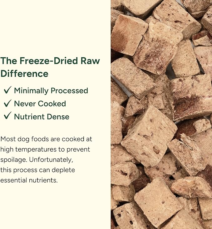 360 Pet Nutrition Freeze-Dried Raw Beef Liver Dog Treats – Single Ingredient, High Protein, Grain-Free, All-Natural Training Snacks, Made in USA, 4 oz