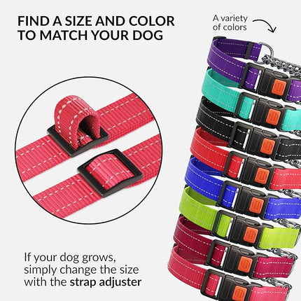 CollarDirect Martingale Dog Collar with Stainless Steel Chain and Quick Release Buckle - Reflective Collar for Large, Medium, Small Dogs - Pink, Small (Neck Size 12"-15")
