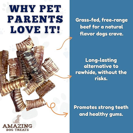 Amazing Dog Treats - 3-4 Inch Beef Trachea Rings (50 pcs/pck) -Premium Dog Chews- Great for Small Size Dogs - Excellent Source of Glucosamine and Chondroitin - Trachea Dog Chews…