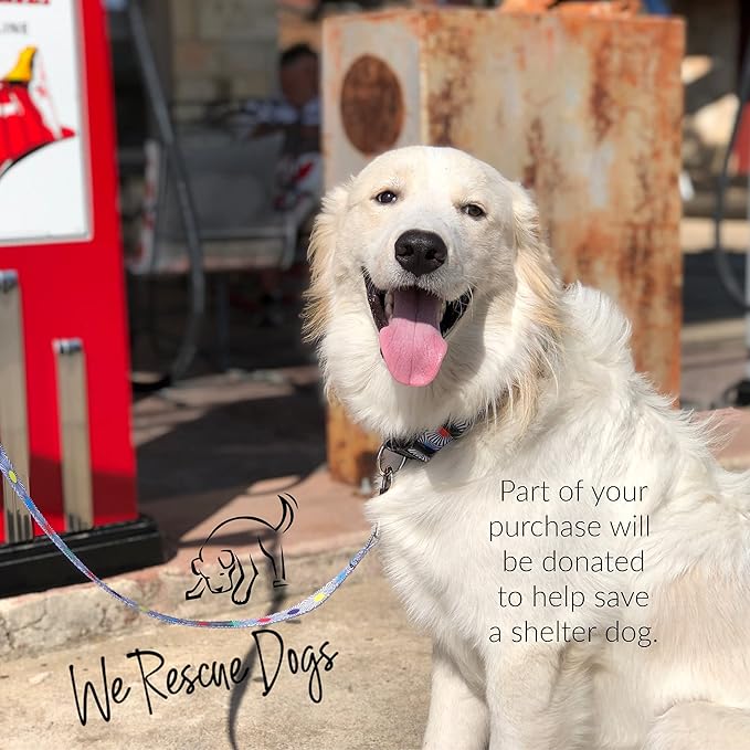 Lucky Love Dog Collars, Comfortable, Soft, Cute Female Dog Collar for Small Medium Large Dogs, SOCO, XS