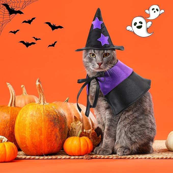 2 Sets Halloween Pet Costume Cats Witch Shaped Cloak and Hat Witch Cloak for Small Large Pets Gifts Party Favor(Small)