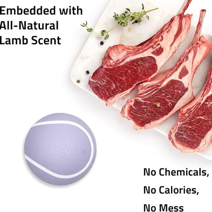 Playology Dog Toys | Squeaky Chew Ball - Bouncy Durable Floating Fetch Ball for Dogs | Jumbo Lamb Scented Toy - Easy to Clean and Made from Non Toxic Materials