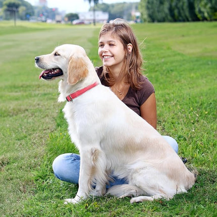 Roses&Poetry Pink Dog Collar and Leash Set for Medium Dogs, Adjustable, Reflective, Durable, 6 Feet