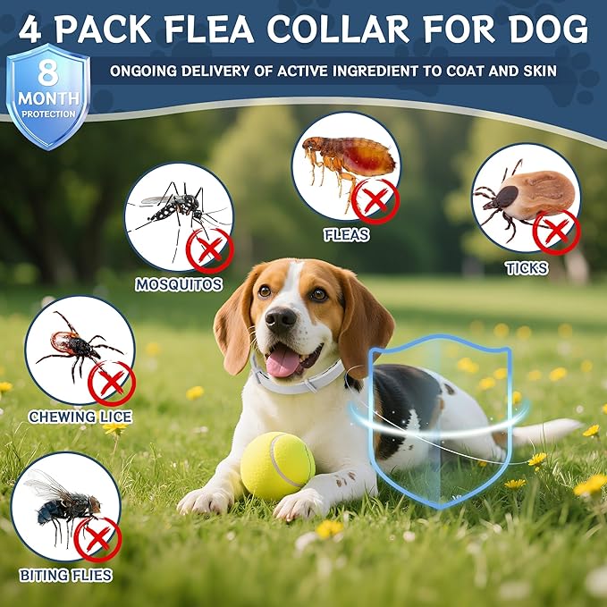 4 Pack Flea & Tick Prevention for Dogs Collar with Natural Essential Oils, Waterproof Adjustable Dog Flea and Tick Prevention Collar for Dogs, 8 Months Prevention