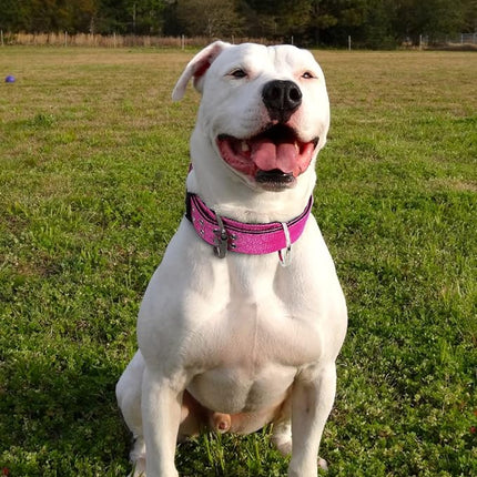 Dog Collar for Large Dogs - 2 in Hot Pink Collars with Handle for Extra Large Breed, Heavy Duty K9 Nylon Pet Tactical Collar XL, Best Choice for Pitbull German Shepherd Doberman Rottweiler 22"-27"