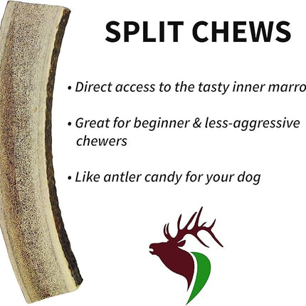 Small Split Twin Pack (for 0-20 lb Dogs and Puppies) Premium Grade Elk Antlers for Dogs (2 Pieces) Sourced in The USA