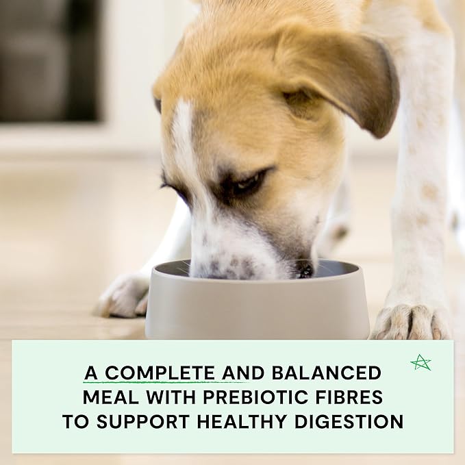 Open Farm, Grain-Free Dry Dog Food for Puppies, Protein-Packed Kibble, Sustainably & Ethically Sourced Ingredients, Non-GMO Veggies & Superfoods, Chicken & Salmon Puppy Recipe, 4lb Bag