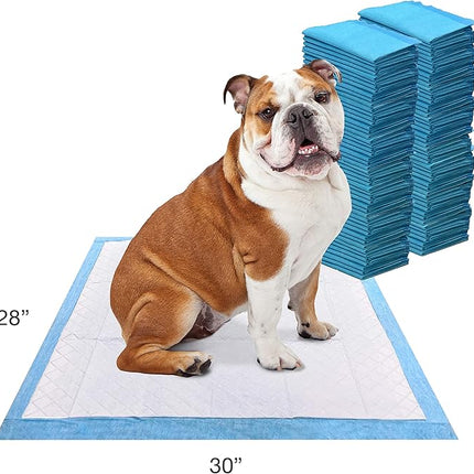 Four Paws Wee-Wee Odor Control with Febreze Freshness Pee Pads for Dogs & Puppies, Leak-Proof Dog Housebreaking Potty Training Floor Protection, Spring Fresh Scent, 22" x 23", 100 Count