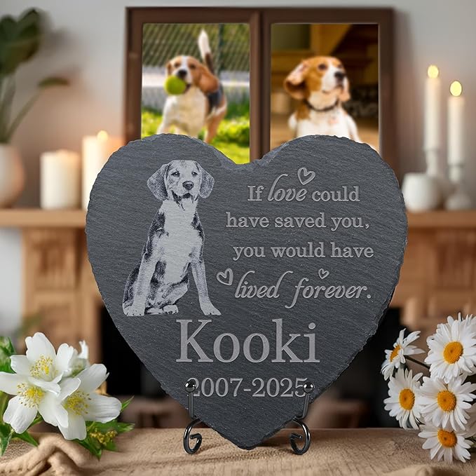 Pet Memorial Stone, Dog Memorial Stone, Dog Memorial Gifts for Loss of Dog, Pet Memorial Gifts, Loss of Pet Sympathy Gift, in Loving Memory Pet - Loved Could Saved You Forever - Heart Shaped