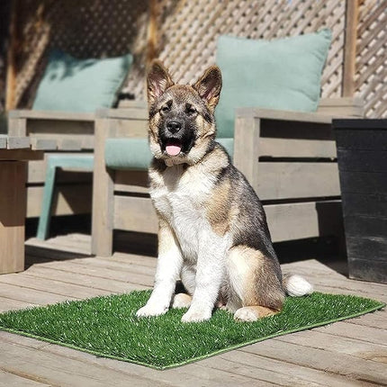 Hompet Dog Grass Pads, Puppy Turf Potty Training Pads, Artificial Turf for Dog Systems Replacement Grass Mats, Easy to Clean with Fast Drain Holes, Indoor/Outdoor Garden Lawn Patio Balcony 28"×18"