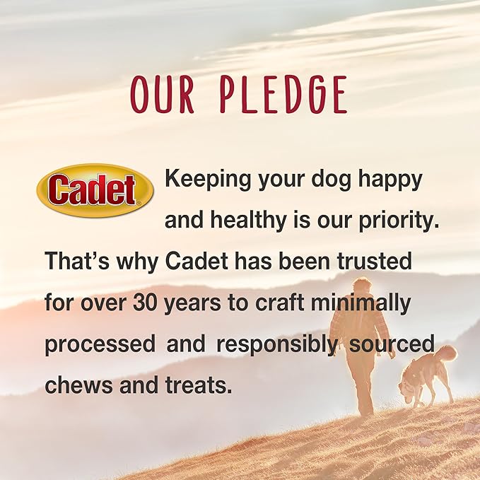 Cadet Bully Sticks for Large Dogs, All-Natural Beef Pizzle, Rawhide-Free Long-Lasting Dog Chews for Aggressive Chewers, 1 Count