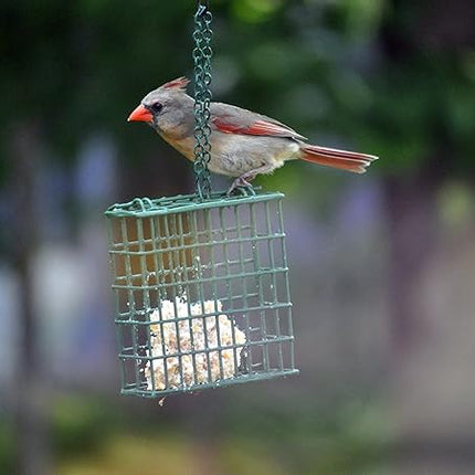 C&S Cherry Treat, 12/pack 11.75 Ounces