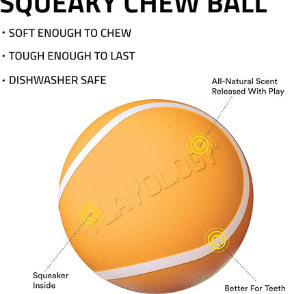 Playology Dog Toys | Squeaky Chew Ball - Bouncy Durable Floating Fetch Ball for Dogs | Medium Cheddar Cheese Scented Toy - Easy to Clean and Made from Non Toxic Materials