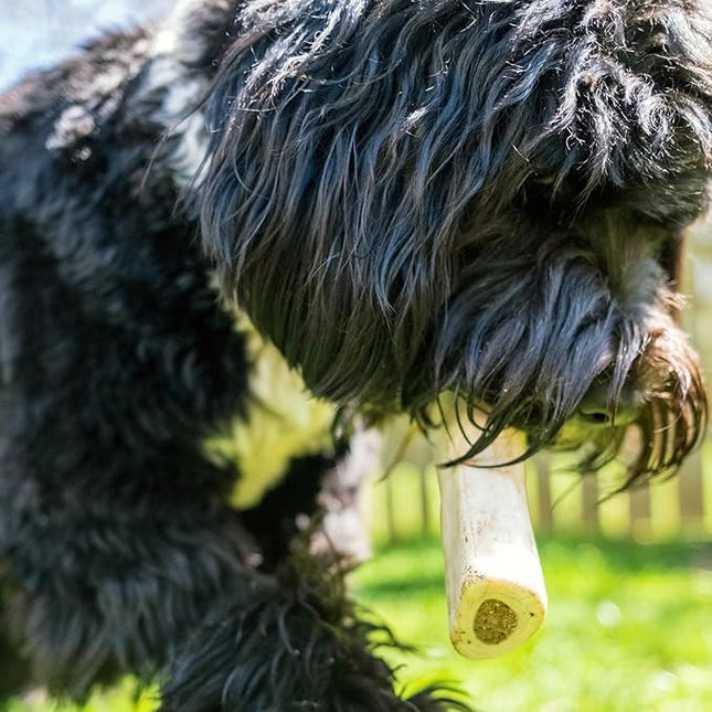 Cadet Stuffed Shin Bone, Long-Lasting Dog Chew Bones for Aggressive Chewers, High Protein Filled Bone Dental Chew for Dogs, Cheese Flavor Filling, 5-6" for Large Dogs