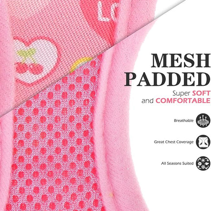 EXPAWLORER Small Dog Valentines Harness and Leash Set - Cute Puppy Harness Leash Dog Collar with AirTag Holder Silicone Case, Soft Padded Step in Pet Vest Reflective for Outdoor Walking, Heart M